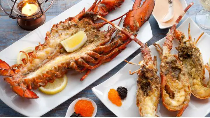lobster - millenora