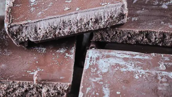 mold on chocolate - millenora
