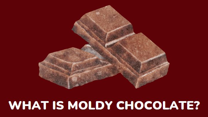 mold chocolate - millenora