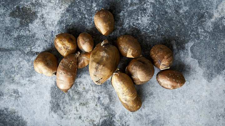 potato bean - millenora
