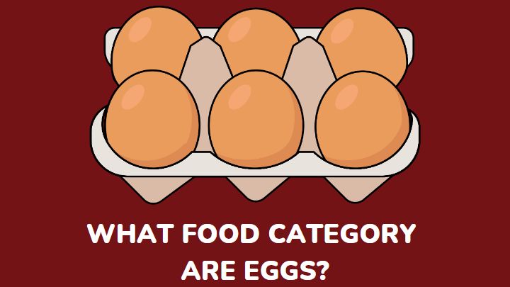 what food category are eggs - millenora