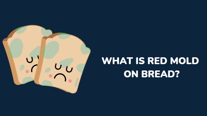 what is red mold on bread - millenora