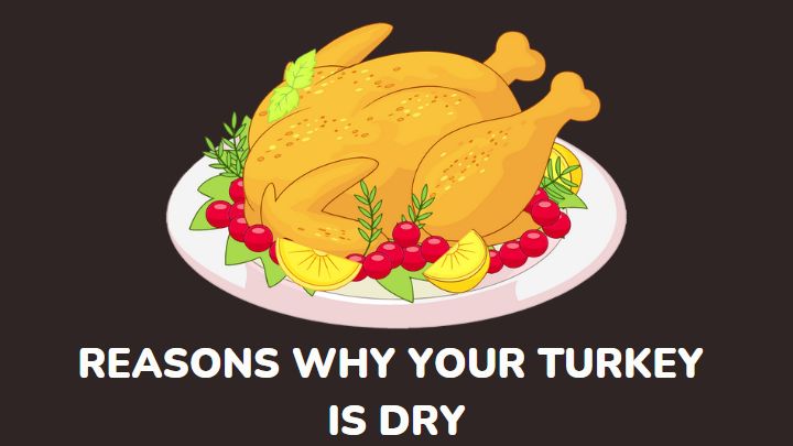 why turkey is dry - millenora