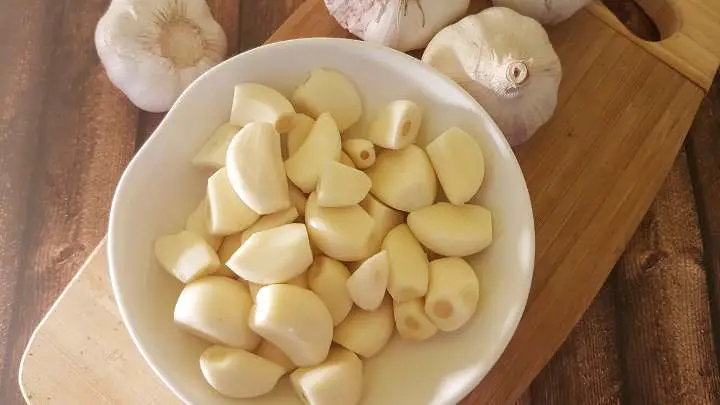 garlic as onion substitutes - millenora