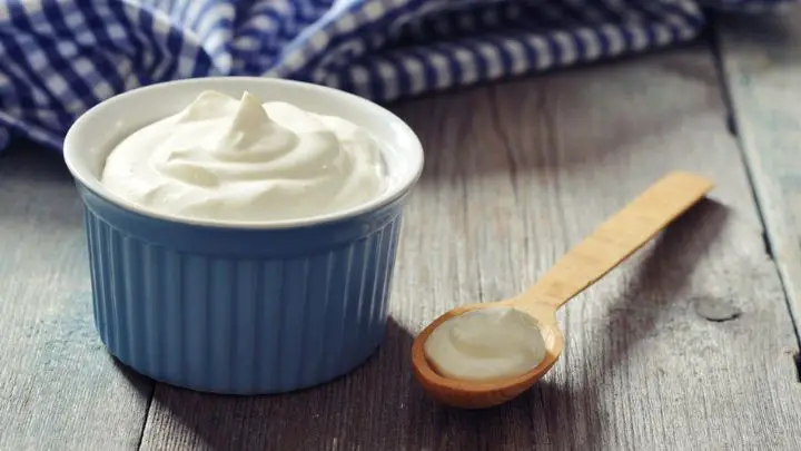 greek yogurt - millenora
