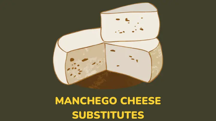 manchego cheese substitutes - millenora