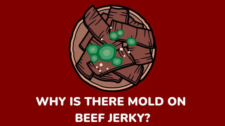 mold on beef jerky - millenora