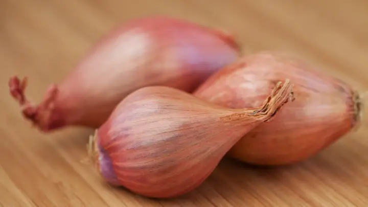 shallots onion substitute - millenora