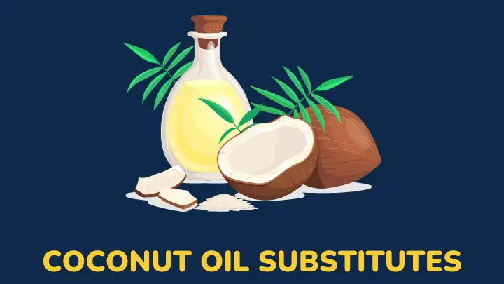 substitute for coconut oil - millenora