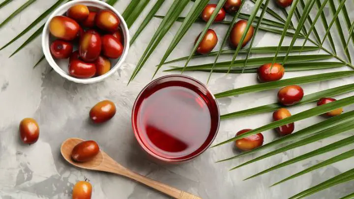 Red palm oil - millenora