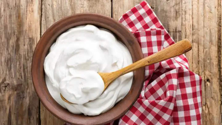 Yogurt - millenora