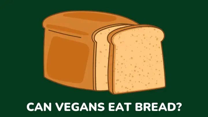 can vegans eat bread - millenora