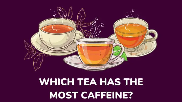 which tea has the most caffeine - milenora