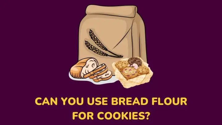 can you use bread flour for cookies - miillenora