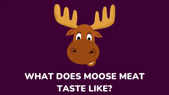 what does moose taste like - millenora