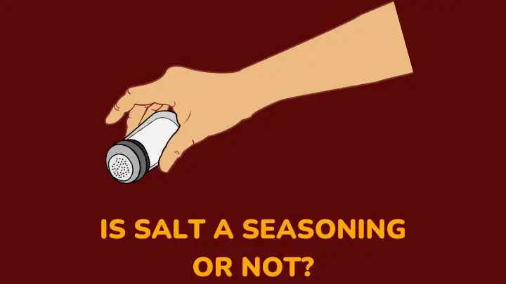 is salt a seasoning - millenora