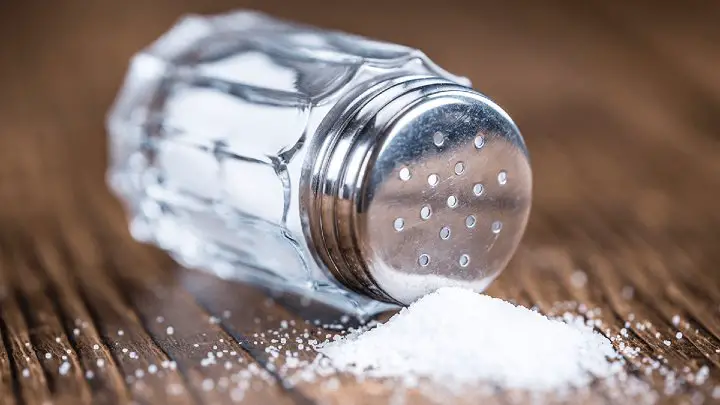 salt in salt shaker - millenora