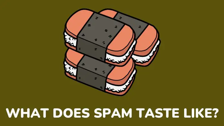 what does spam taste like - millenora