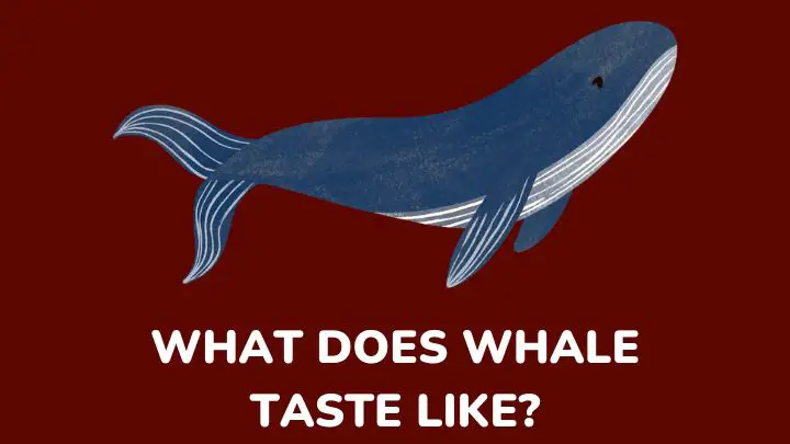 what does whale taste like - millenora