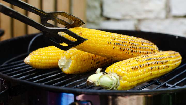 grilled corn on the cob - millenora