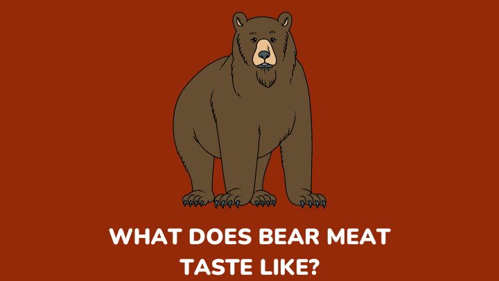 what does bear taste like - millenora