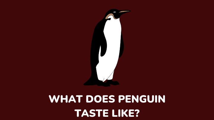 what does penguin taste like - millenora