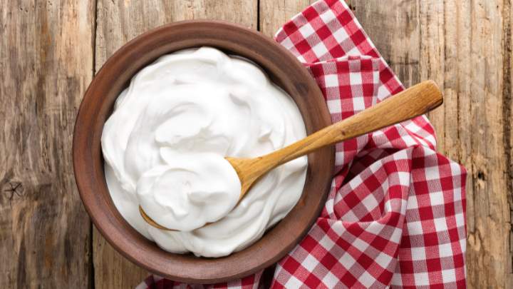 yogurt - millenora